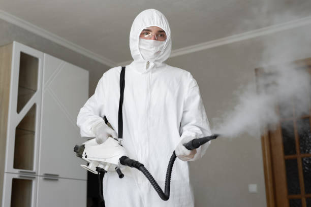  Pine Bluff, AR Mold Removal Services Pros